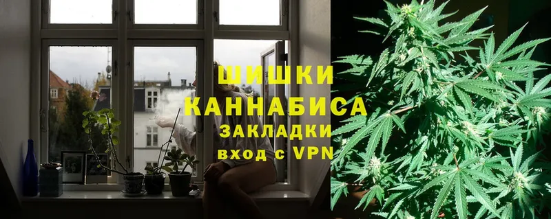 где найти наркотики  Орск  Бошки марихуана Ganja 